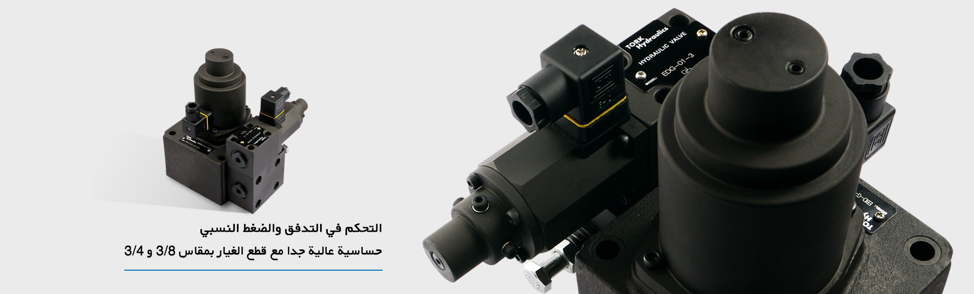 صمام الملف اللولبي للمصعد الهيدروليكي مزدوج البكرة(طرح Blain آلمان), Valves for hydraulic lifts